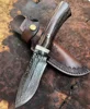 /product-detail/top-quality-survival-67-layers-damascus-steel-vg10-core-hunting-knife-60771857786.html