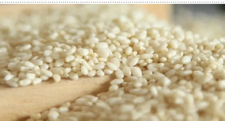 Pure Natural sesame seeds Exporter in china
