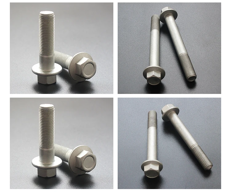 stainless steel eccentric bolts