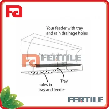 Zl320007 Large Clear Window Wild Bird Feeder Strong Suction Cups