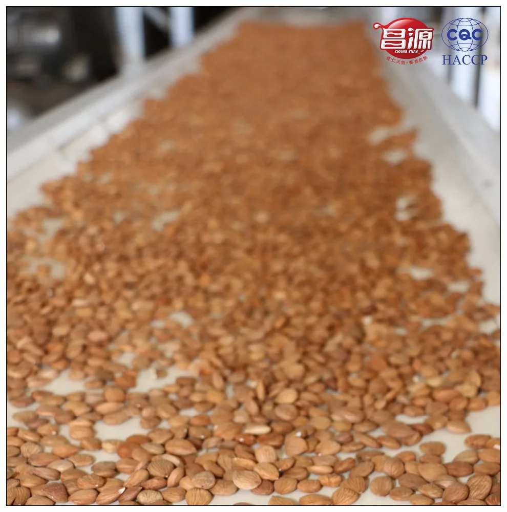
Raw bitter Apricot Kernel Crop 2017 (BAK) 
