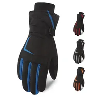 

Protective High Quality Winter Ski Glove And Professional Ski Gloves