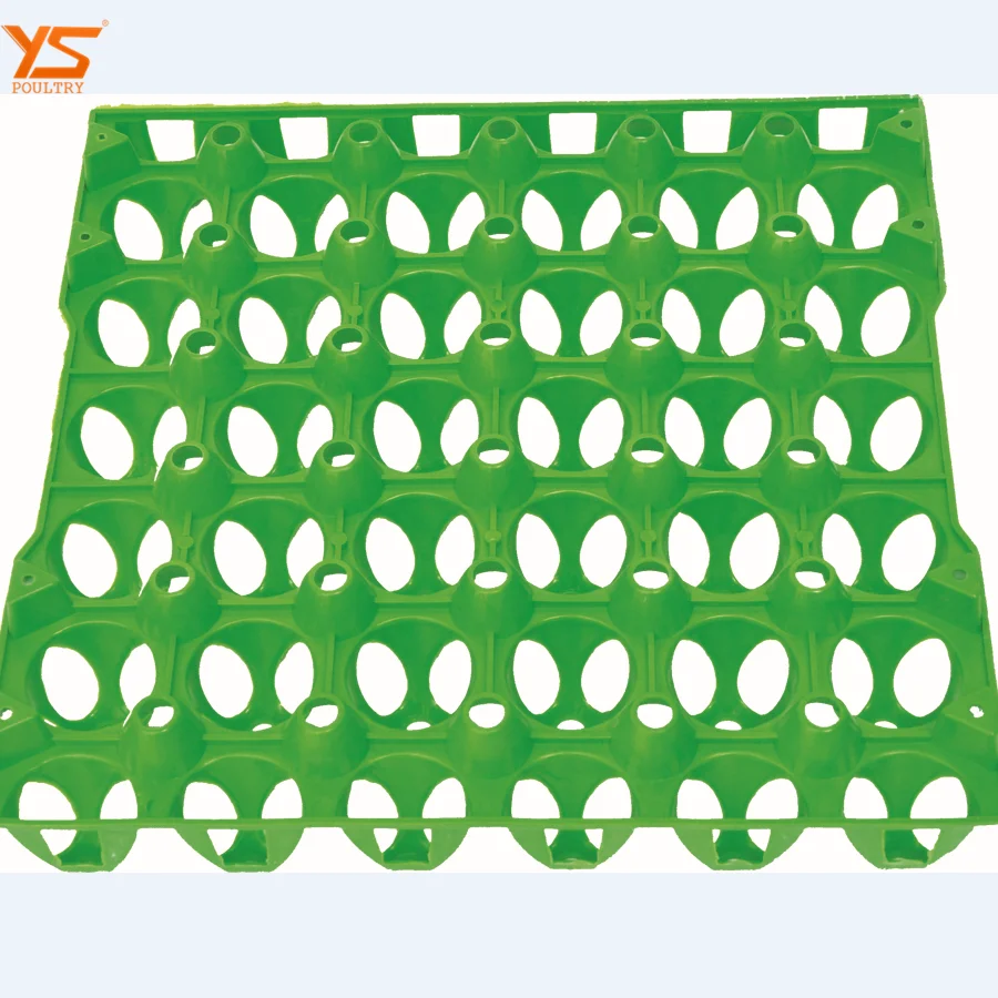 
Wholesale 30 Cells Plastic Eco-Friendly Egg Tray 