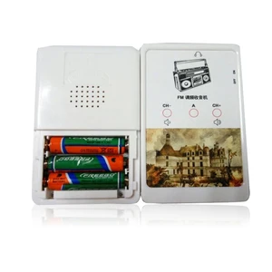 Portable FM Novelty Radio Outdoor Use