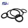 Easy installation friction minimal hydraulic PTFE piston seals glyd ring