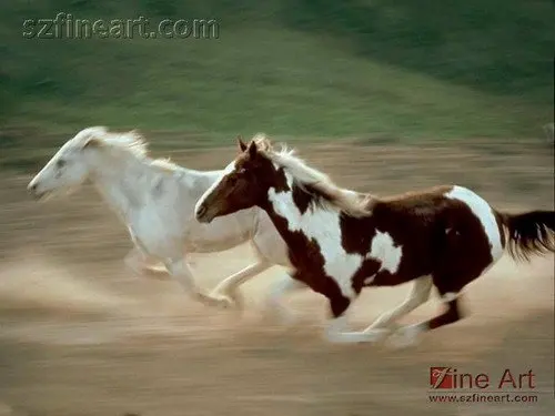 ×ª××× × ×§×©××¨×