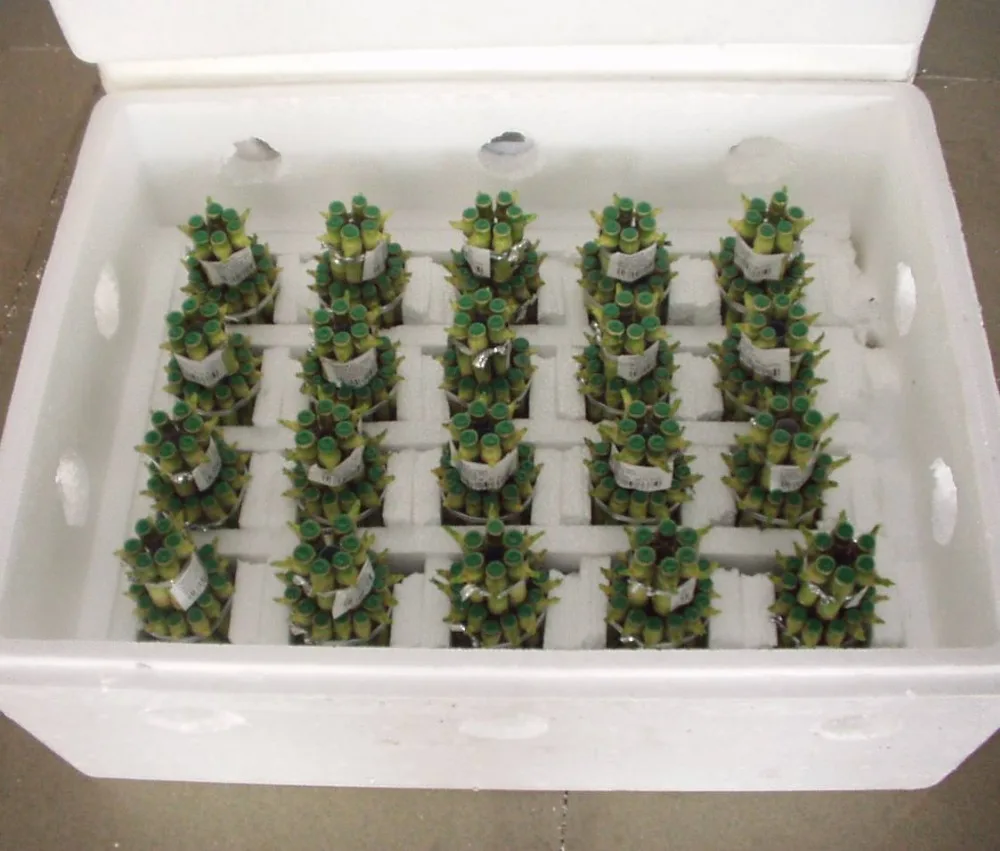 HTB1UOG3KpXXXXcjXXXXq6xXFXXXR