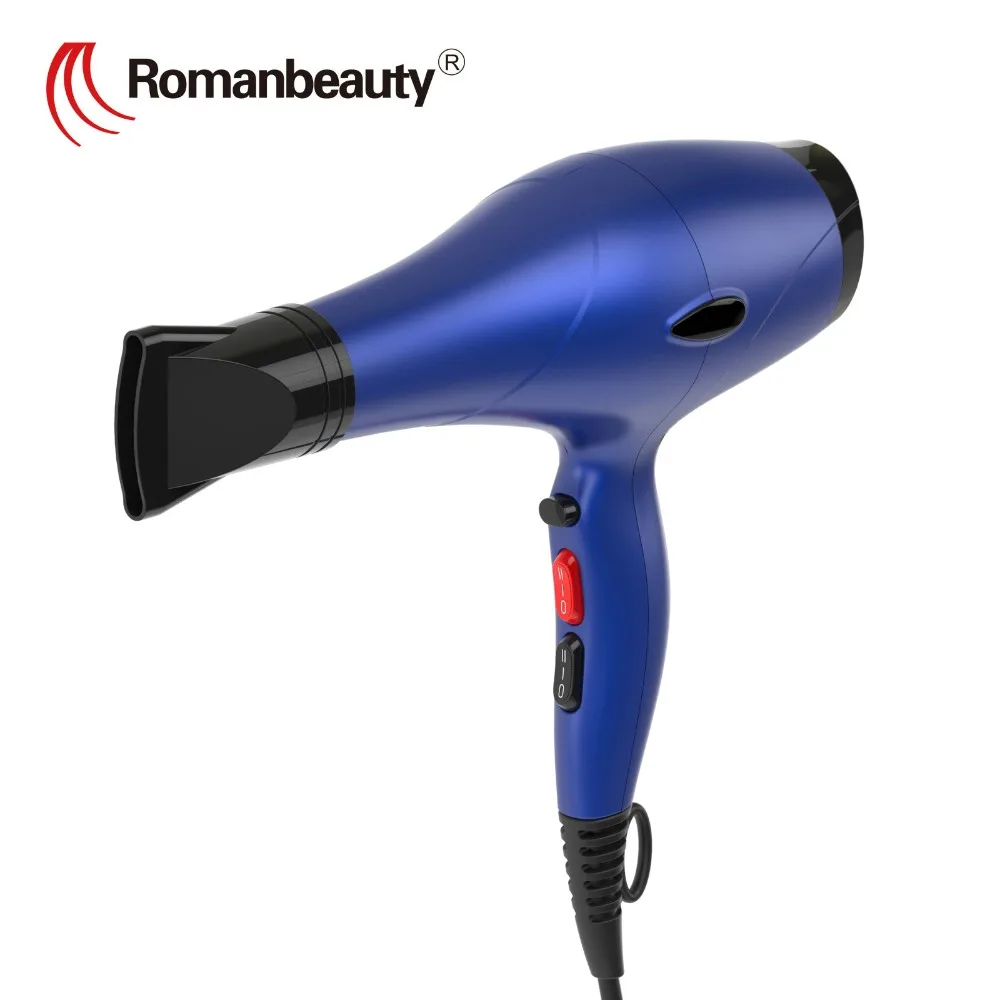 Professional Hair Dryer Rm-d15 Name Brand Ac Motor Blow ...