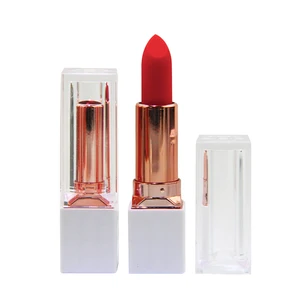 2019 hot 9 color square tube private custom matte moisturizing lipstick