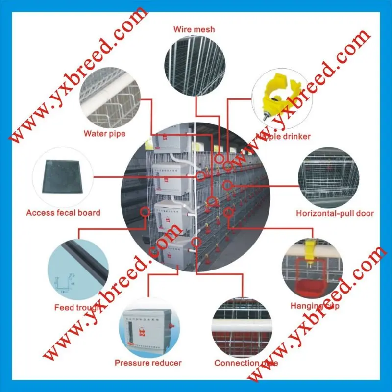 made in china quality chick broiler cages