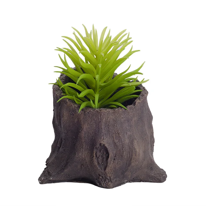 succulent flowerpot