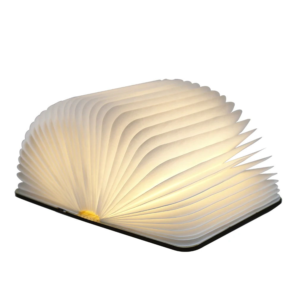 High Quality Book Lamp.jpg