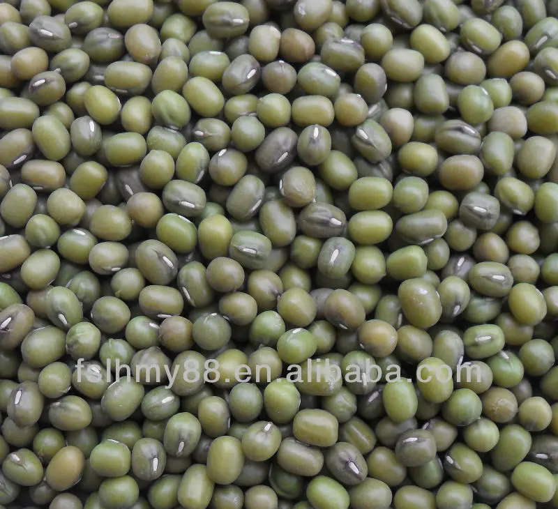 
Northeast China green mung bean 