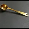 /product-detail/20ml-gold-color-stainless-steel-spice-measuring-tea-milk-coffee-spoon-60691414711.html