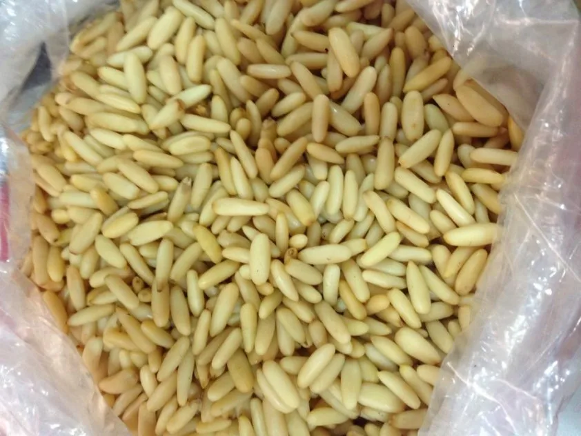Organic Pine Nut Kernel Price Max Bag White Pine Nuts Shell Rich
