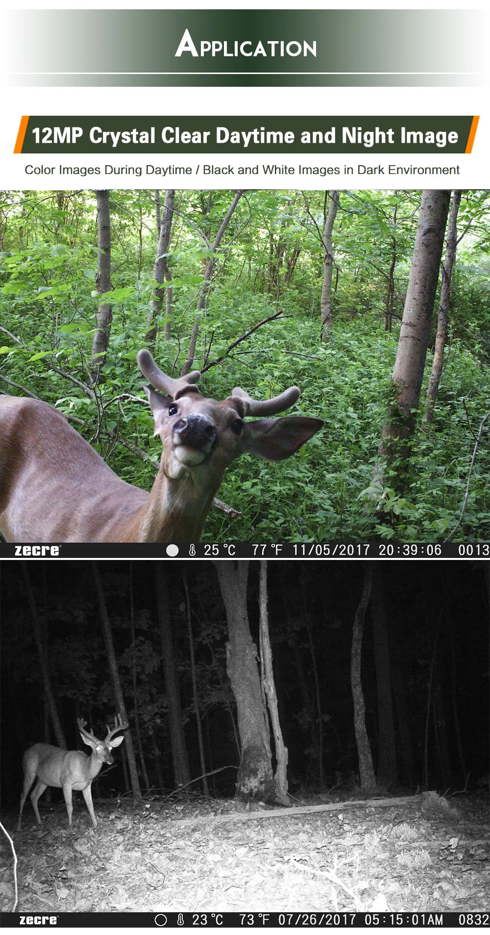 730A hunting cam barky 6.jpg