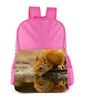 Customized digital printing sublimation blank back pack, school backpack for sublimation