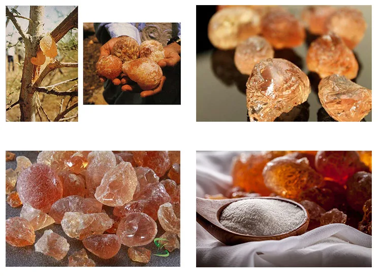 Talha Spray Dried Gum Arabic Powder Acacia Gum Powder For Candy Buy Gum Arabic Talha Gum Arabic Spray Dried Gum Arabic Powder Product On Alibaba Com