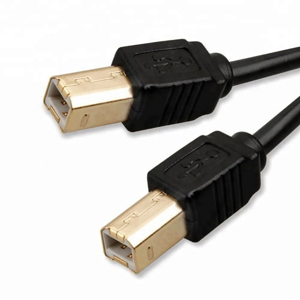 Type B Port B Male To B Male 20 Usb Printer Scanner Cable Buy Usb Printer Cableusb Scanner 8261