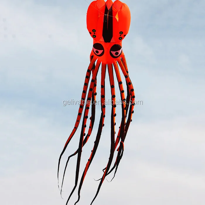 octopus kite 2.jpg