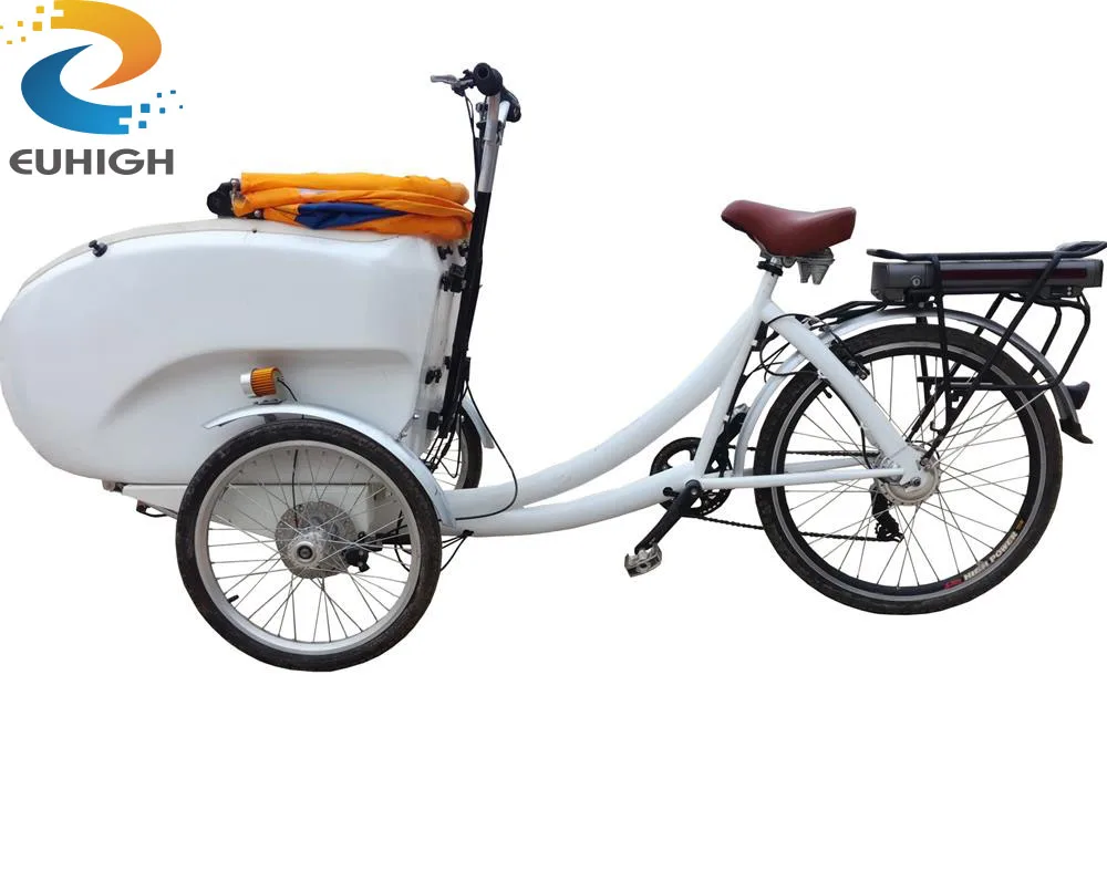 adult tricycle canopy