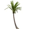ST-CC46 outdoors summer coconut palm tree curved shape coconut tree artificial