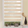 Guangzhou Roller Zebra Blinds Curtain for Windows with built in Roller blind