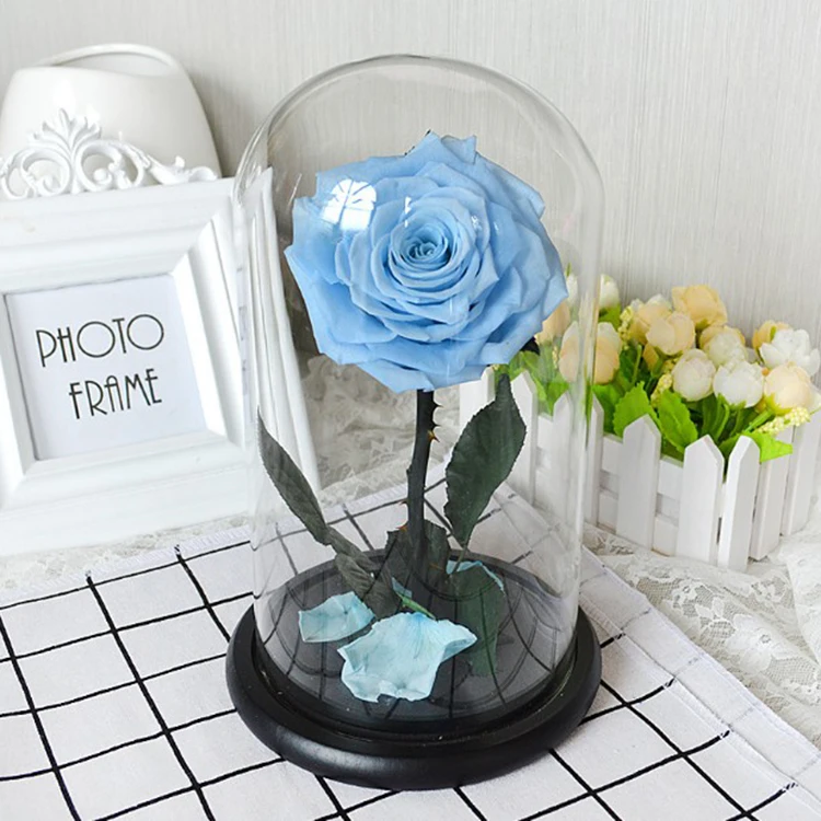 
Fresh Black Rose Flower Real Preserved Flower Rose Glass Ball Wholesale 