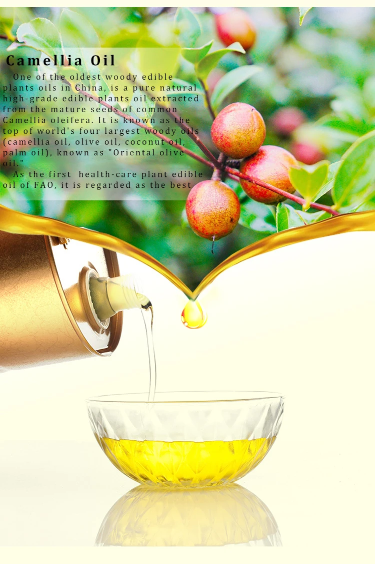 Physical Cold Pressed Organic Camellia Seeds Cooking Oil - Buy Edible