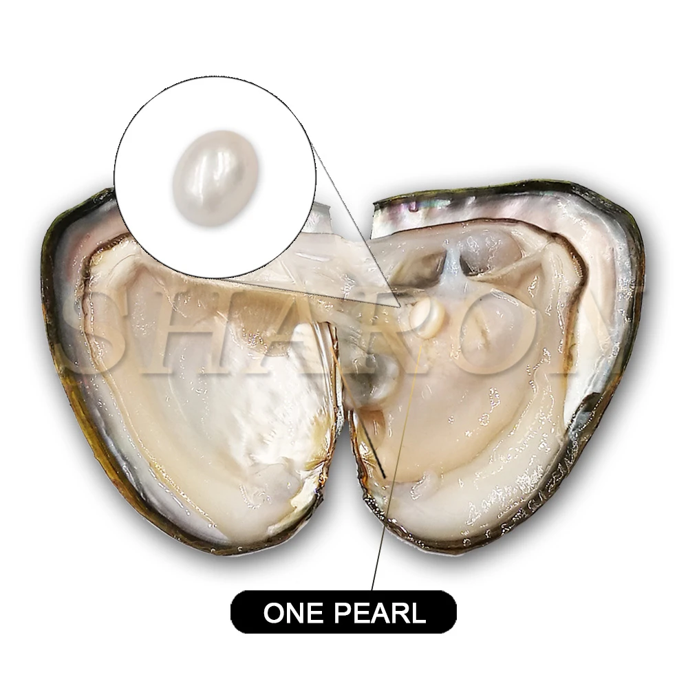 

Party Surprise Gift  Cultured Fresh Water Mussel Oval pearls Oyster Shell