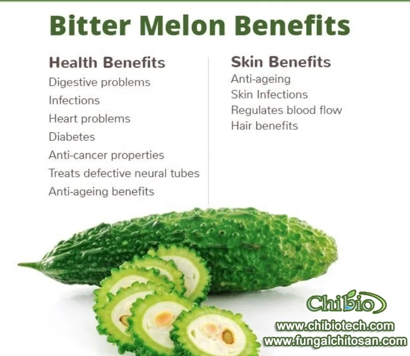 Bitter Melon Extract Chibio Biotech Factory Of Vegetal Chitosan