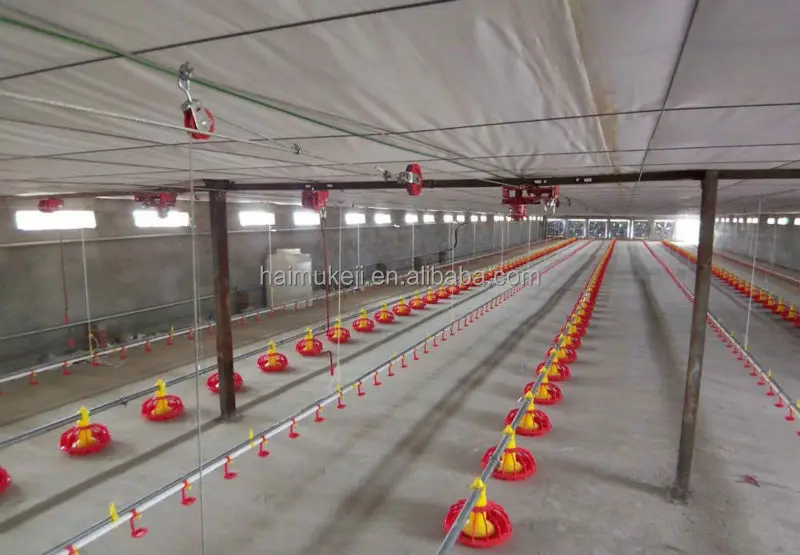 Poultry Farm Automatic Feeder System For Chicken Buy Automatic