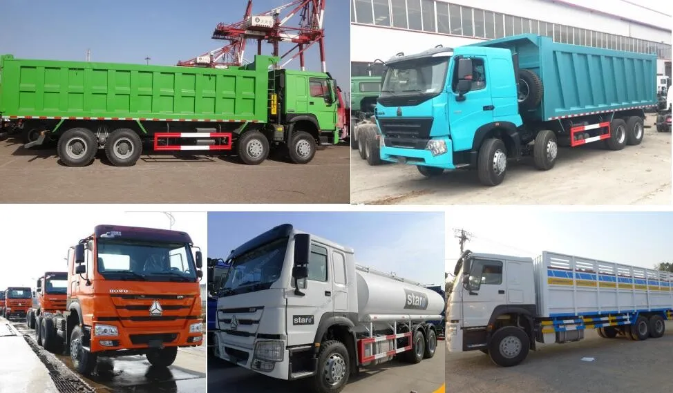 Sinotruk 336hp Price Ethiopia Truck Volume Capacity Super 10 Wheel