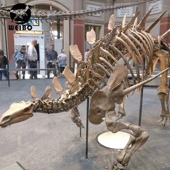 life size dinosaur skeleton for sale