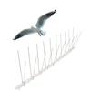 GKPC-55 : Pest Control Pigeon Trap bird spikes pigeon detrrent
