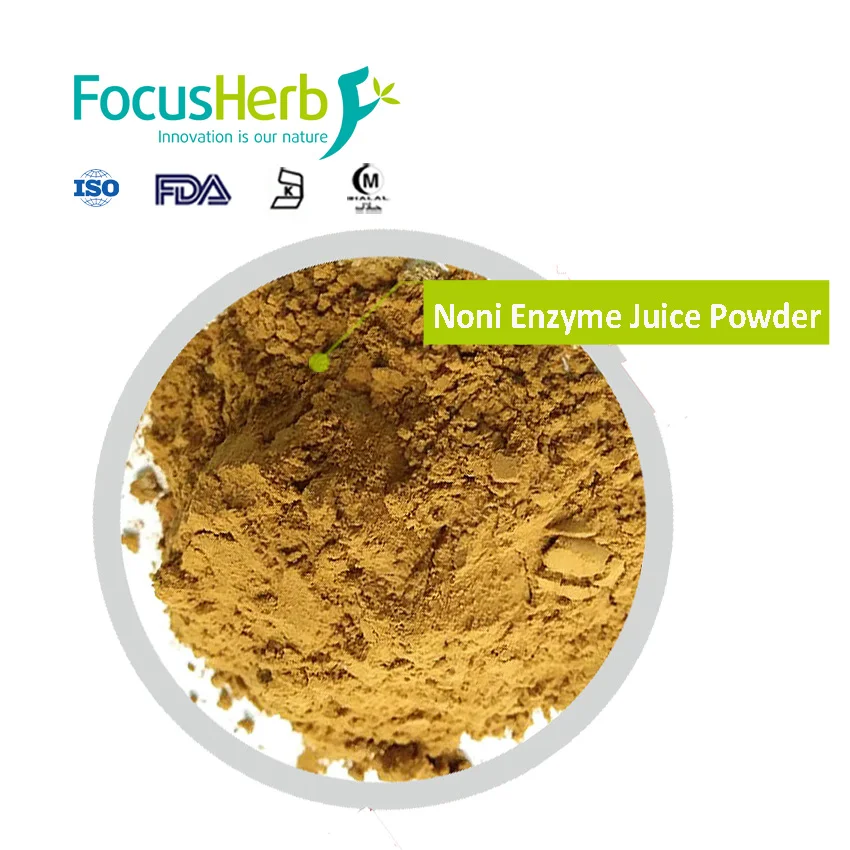 Focusherb Noni Juice Natural Fermentation Noni Enzyme ...