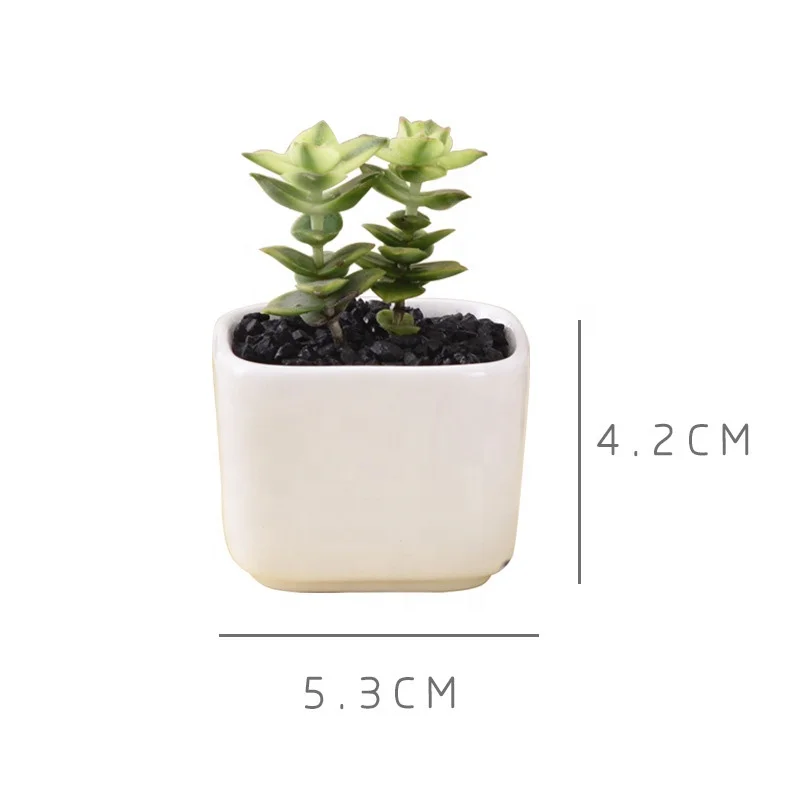 
Simple rounded square mini fleshy plant ceramic flower pot 