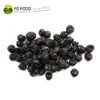 HACCP Foods Dried Berries Freeze Dried Blueberry Dried Blueberry