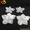 wholesale large quantity sea shell material flower shell for jewelry making