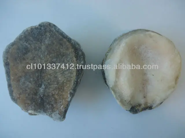 
Frozen Locos, Chilean Abalone 