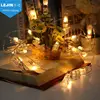 Factory valentine's day decorative retro ambience dangling glimmer battery bulk starry led photo clip string lights
