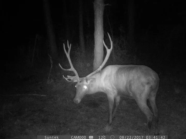 IMG_3752(11-06-16-04-35)