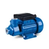 SDB60 Low Pressure Single Stage Electric Vortex Peripheral Surface Water Pump