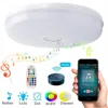 Voice Control Smart WiFi APP Remote Crontol Led Ceiling Lighting Compatible with Amazon Alexa Apple HomeKit Google Assistant