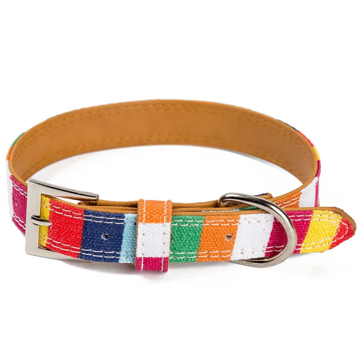 dog pet collar-2.png