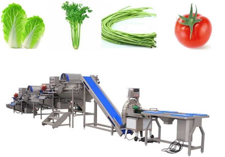 Salad Master Machine Buy Salad Cutting Machine,Salad Washing Machine