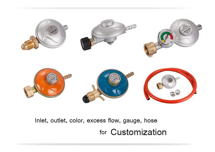 LP Propane LPG Euro Gas Regulator with Gauge Meter