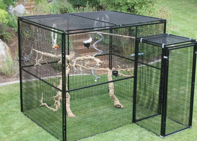 outdoor bird cage