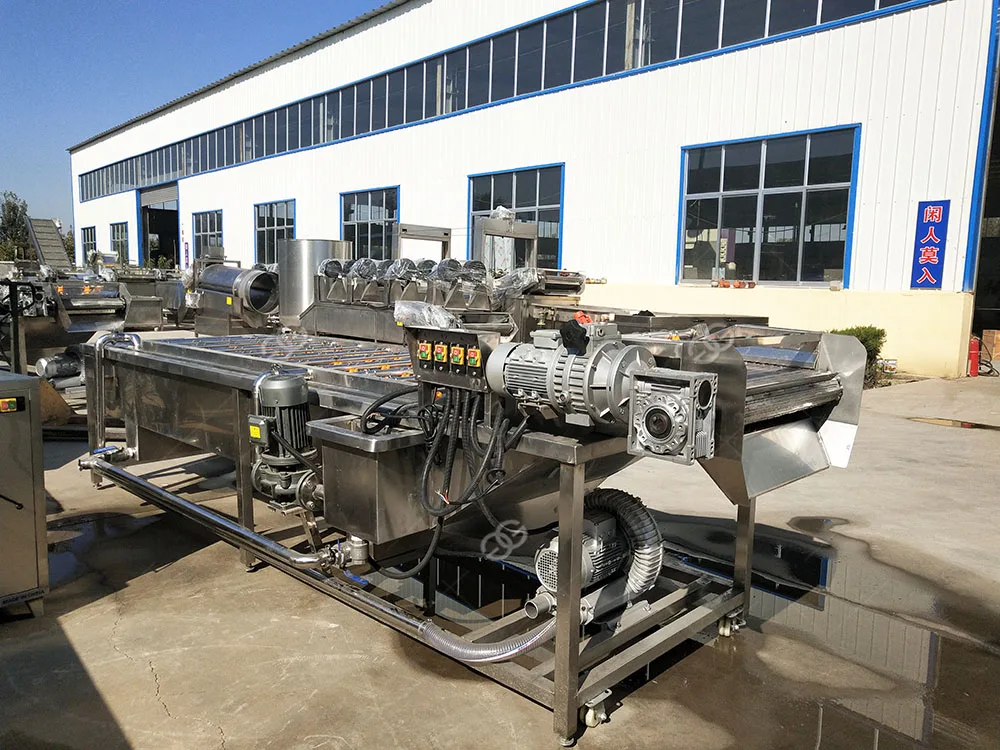 Gg5000 Commercial Fruit Vegetable Washing Machine Apple Washer And Dryer Buy Apple Washer And