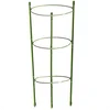 Green plastic tomato ring support